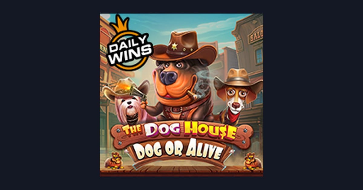 Nikmati Serunya The Dog House Dog Or Alive dengan Daftar & Login Gampang