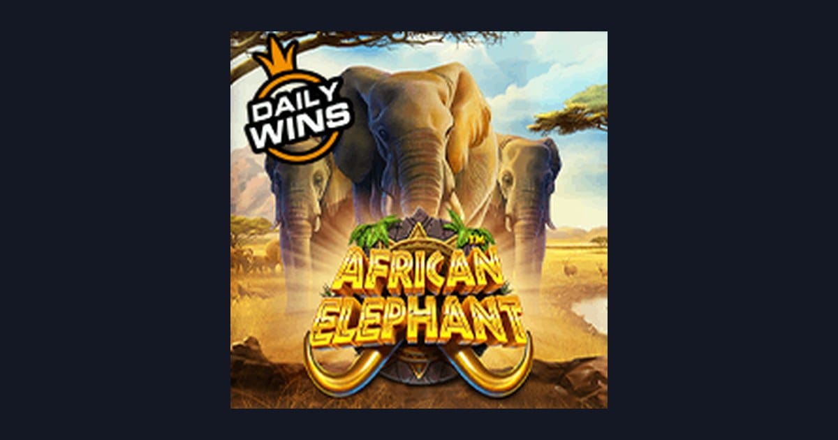 Raih Jackpot Progresif Terbesar dengan African Elephant dari Pragmatic Play